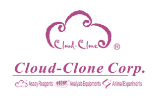 Cloud-Clone