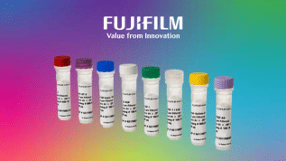 Unlock 20% Off*: Supercharge Your Study with Quality Cytokines, Growth Factors & More