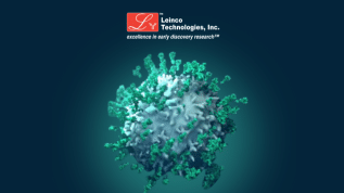 Give Your Research a Boost: Enjoy 20% Off* Our Premium Biosimilar Antibodies this EOFY