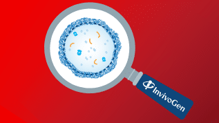 15% off all InvivoGen Mycoplasma Detection Kits