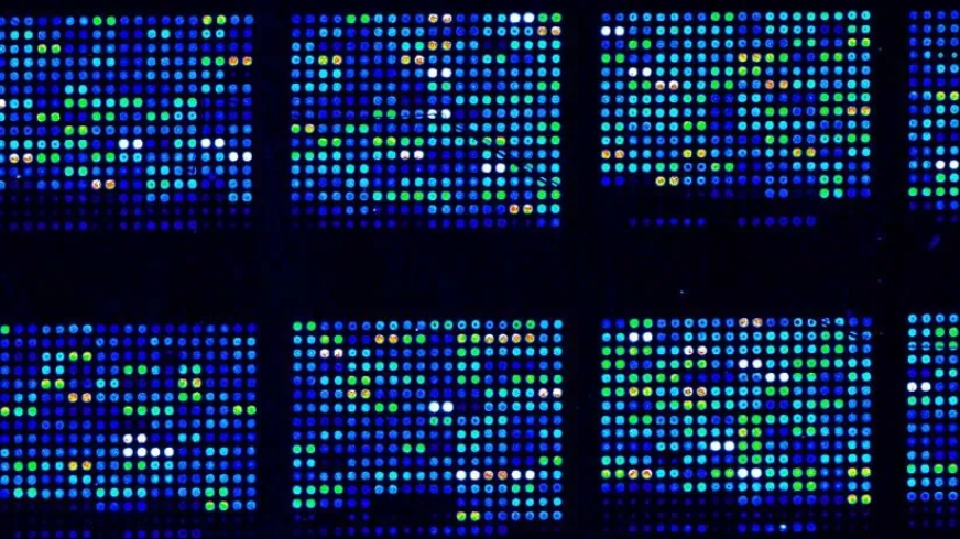 Antibody Arrays Explained: A Guide to Multiplex Protein Profiling