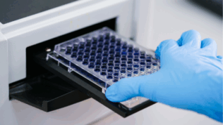 How to Choose the Best ELISA Kit