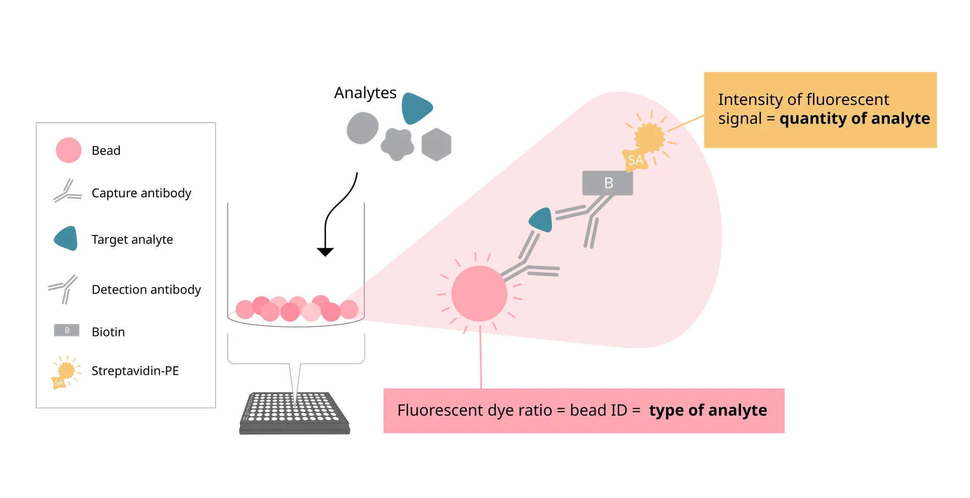EYRAplex assay schematic
