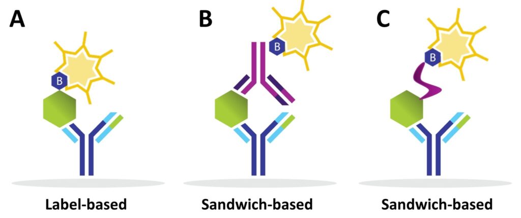 A comparison of label-based and sandwich-based immunoassays.
