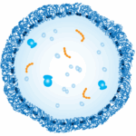 Mycoplasma