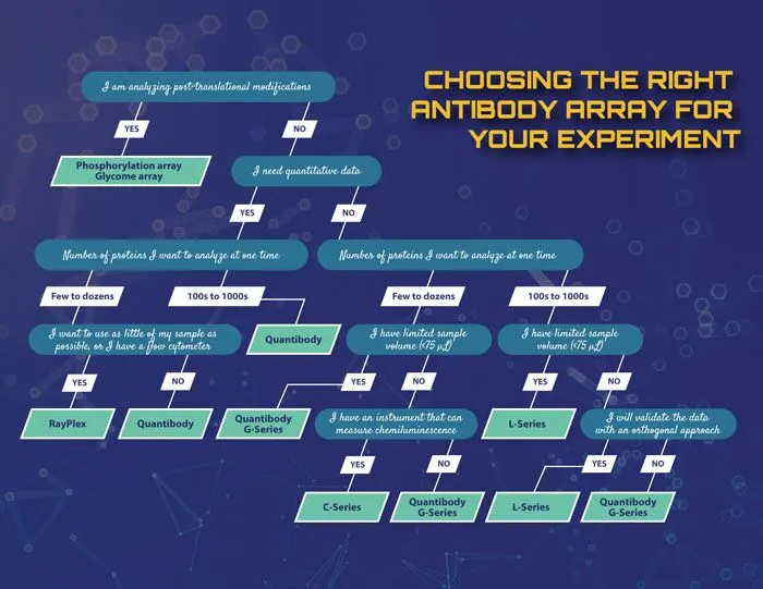 Decision tree to help choose the appropriate antibody array for the experiment.