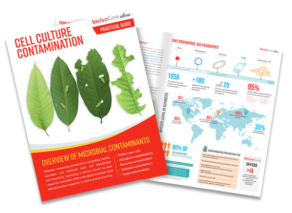 Cell Culture Contamination Guide