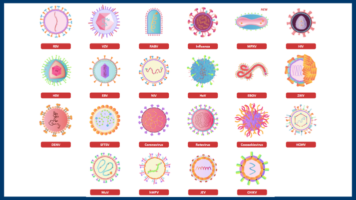 Advance Your Infectious Disease Research with ACROBiosystems