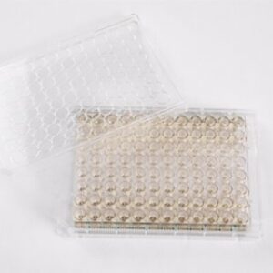 Agilent xCELLigence RTCA E-Plate with integrated gold biosensors for real-time, label-free impedance-based cell analysis.
