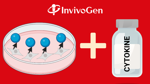 Receive a FREE matching cytokine with every InvivoGen cytokine reporter cell line ordered