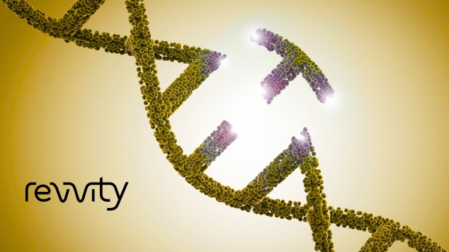 Free DharmaFECT™ Reagent with ON-TARGETplus™ or siGENOME™ SMARTpool siRNAs