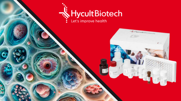 25% off Hycult Biotech Complement and Innate Immunity Products