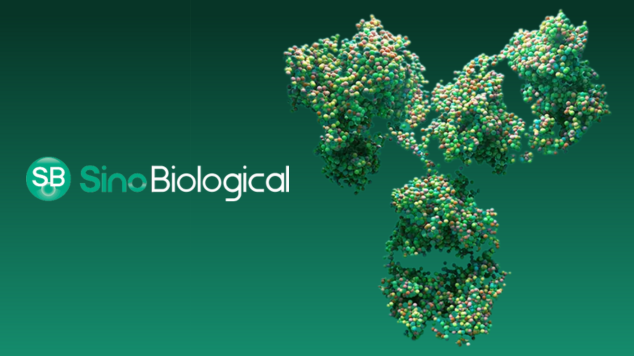 Buy any 2 Sino Biological Proteins or Antibodies, Get 1 FREE