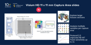 Visium HD XL