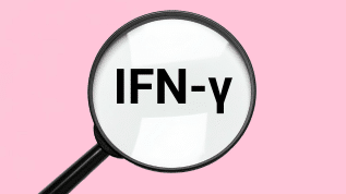 IFN-γ