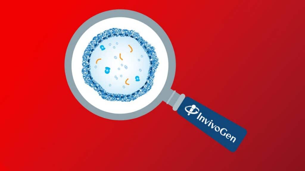 Invivogen mycoplasma detection
