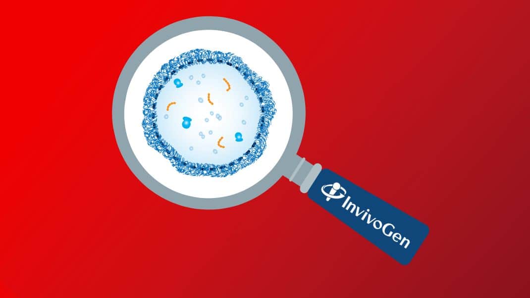 10% off all InvivoGen MycoStrip Detection Kits, Antimicrobial Agents & Selective Antibiotics