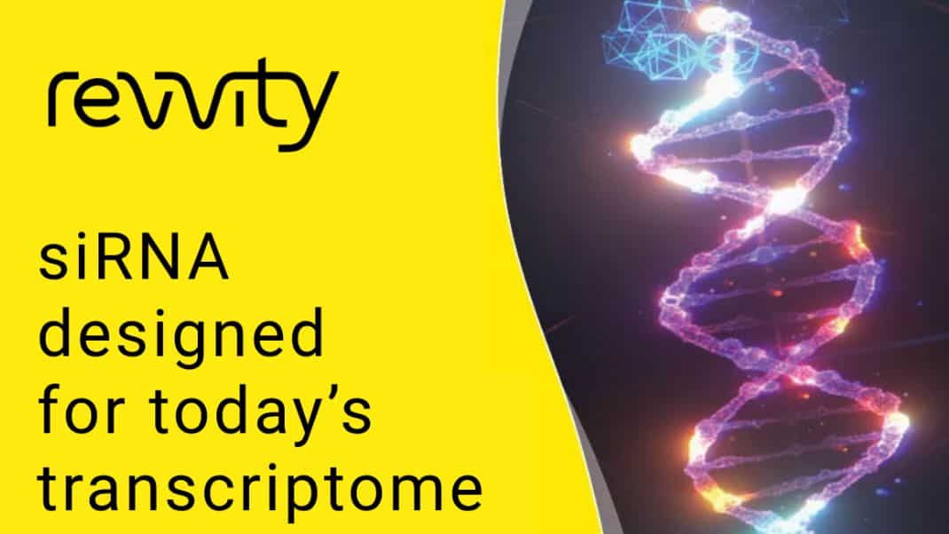 30% off ON-TARGETplus 2.0 siRNAs, with a free ON-TARGETplus 2.0 Non-targeting Pool with ON-TARGETplus 2.0 SMARTpool siRNA orders