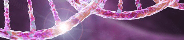 DNA double helix representing CRISPR genome editing research