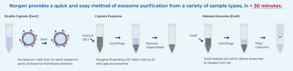 Silicon Carbide purification workflow