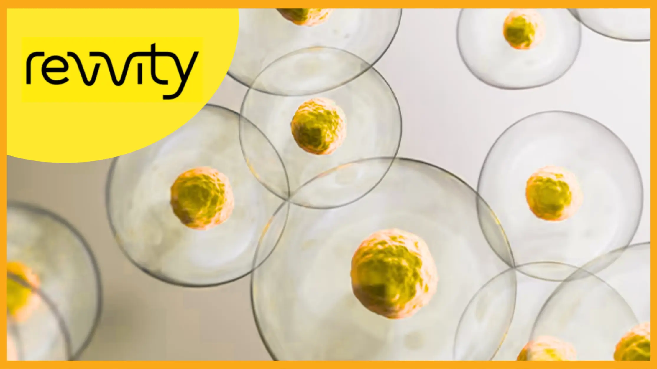 Save up to 15% on Horizon Discovery Cell Lines