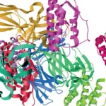 Cytokines