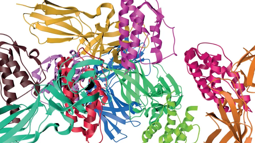 Cytokines