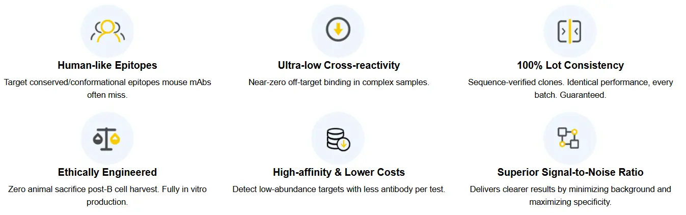 Key features of Elabscience Rabbit mAbs