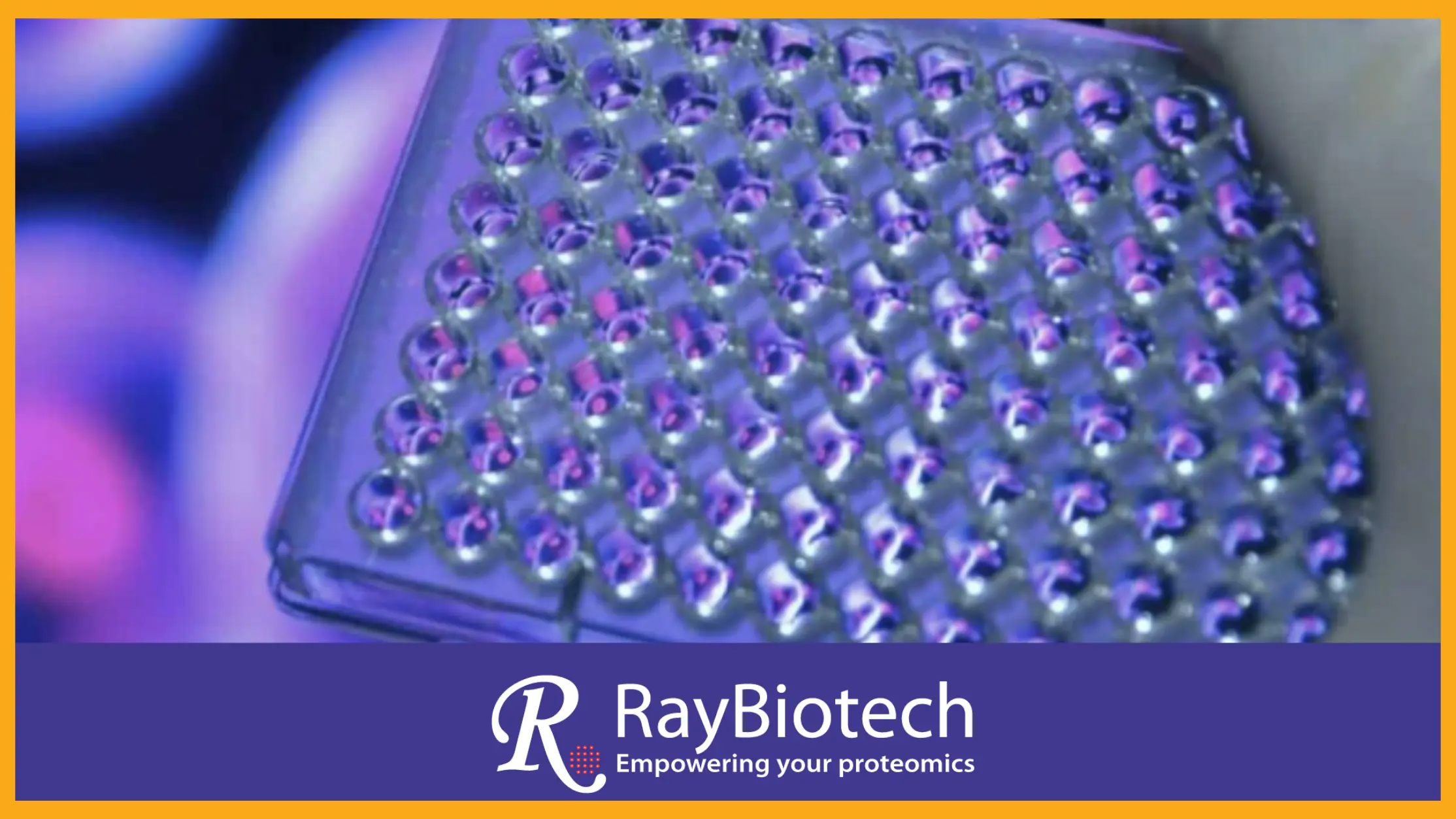 25% OFF RayBiotech ELISA Kits
