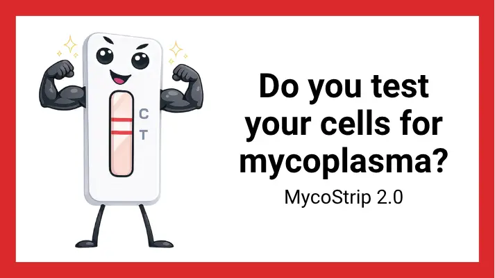 MycoStrip 2.0 mycoplasma detection kit by InvivoGen