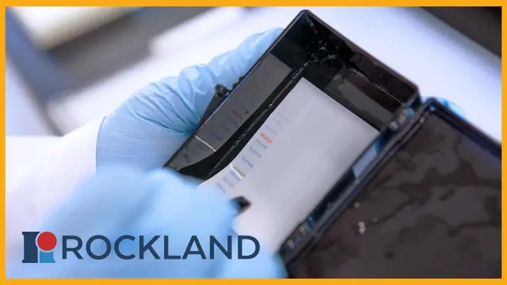 20% OFF all Rockland TrueBlot® products